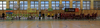 D3S_5329