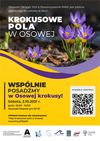plakat_Krokusowe_pola_w_Osowej