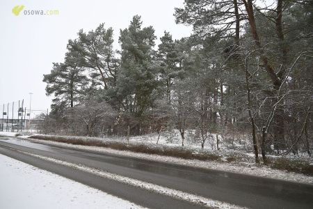 <h2><a href='news,14830,1.html'>Podpisano umow� na realizacj� Parku Wytchnieniowego w Osowej</a></h2>