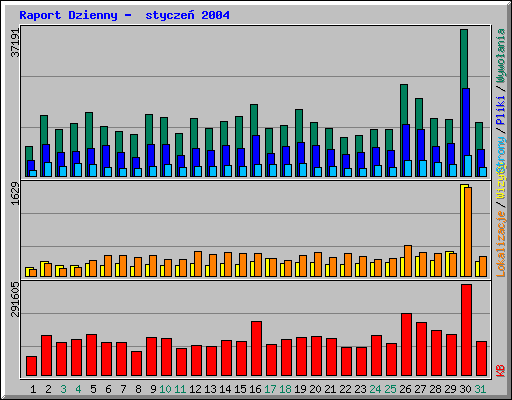 Raport Dzienny -  stycze 2004
