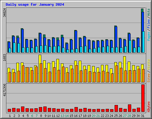 Daily usage for January 2024