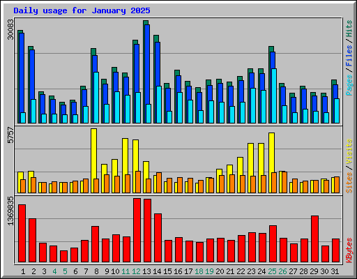 Daily usage for January 2025