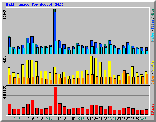 Daily usage for August 2025