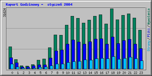 Raport Godzinowy -  stycze 2004