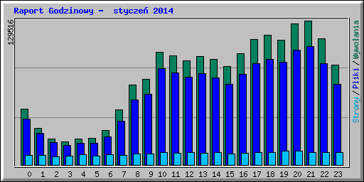 Raport Godzinowy -  stycze 2014