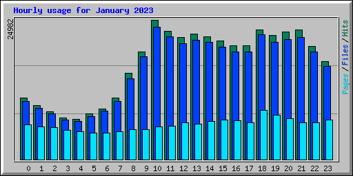 Hourly usage for January 2023