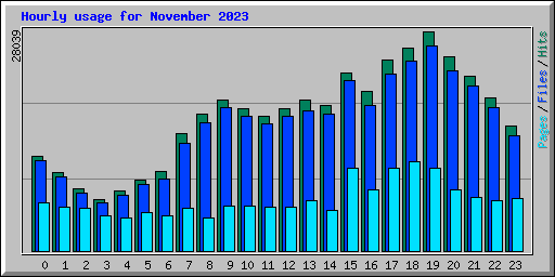 Hourly usage for November 2023