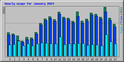 Hourly usage for January 2024