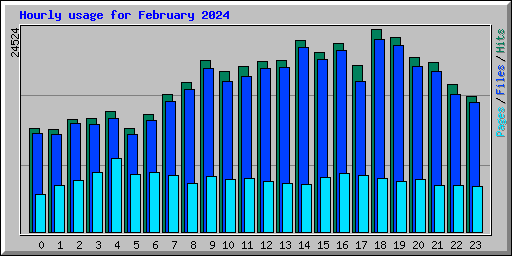 Hourly usage for February 2024