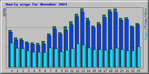 Hourly usage for November 2024