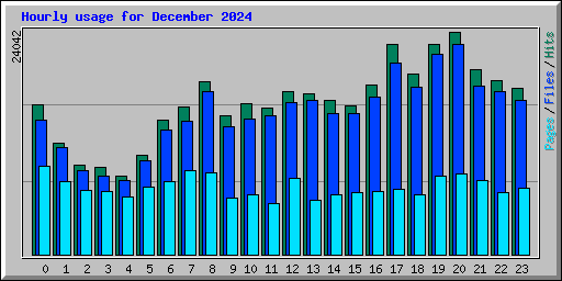 Hourly usage for December 2024