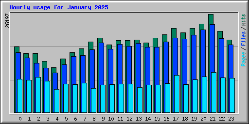 Hourly usage for January 2025