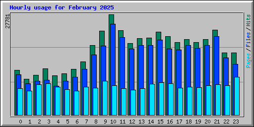 Hourly usage for February 2025