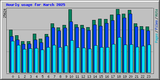 Hourly usage for March 2025