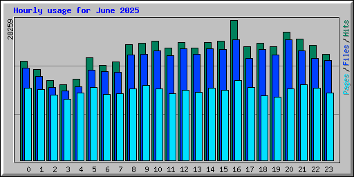 Hourly usage for June 2025