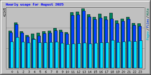 Hourly usage for August 2025