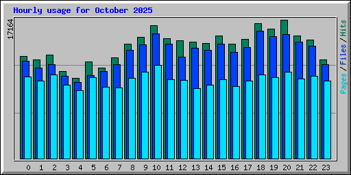 Hourly usage for October 2025